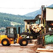 canoe forest products logs